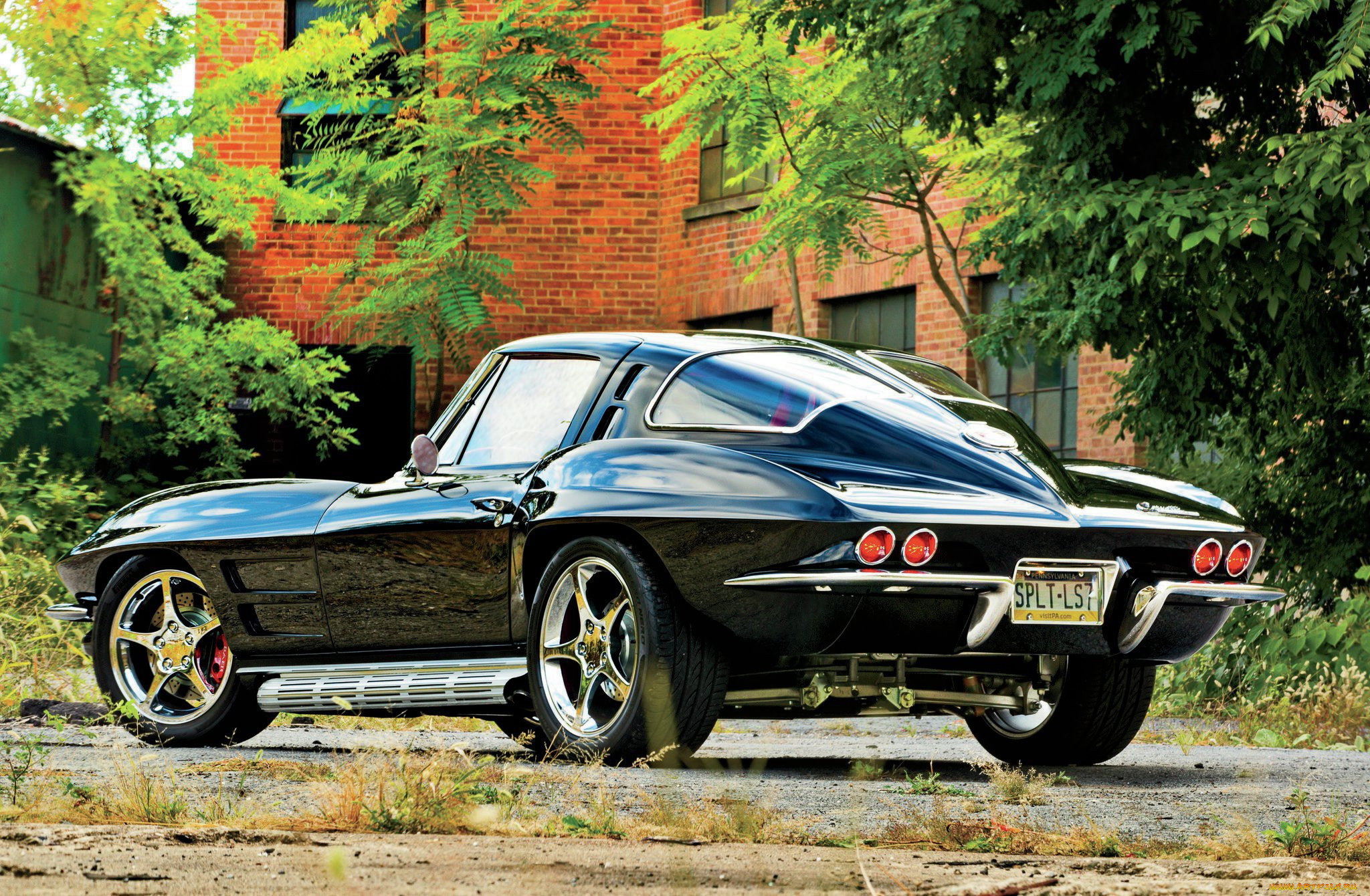, corvette
